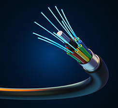 service-1-1 service-1-1